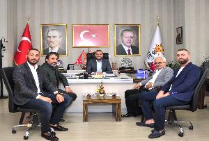 Ziyaret
